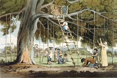 神Foへの最初の果物の捧げ物、ジョンバロー（1764-1848）による「コチンチナへの航海」の版16、トーマスメドランド（1755-1823）1806（アクアチント）